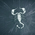 Exploring the Strengths and Weaknesses of Scorpio Zodiac Signs