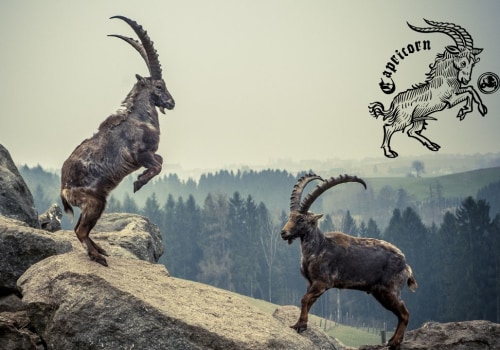 Unveiling the Personality Traits of Capricorn Zodiac Sign